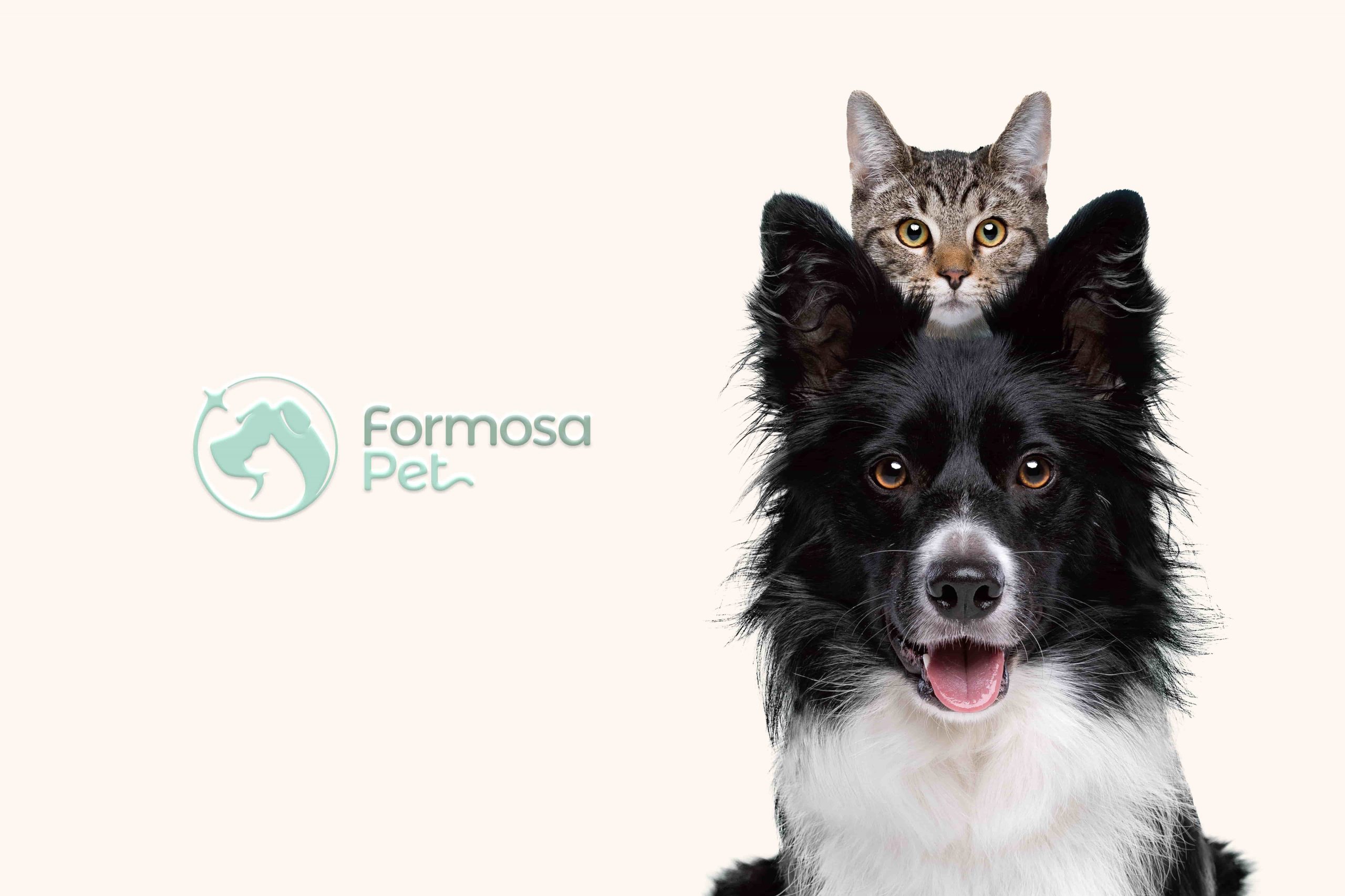 封面模擬 - 福爾摩沙國際貿易有限公司 封面模擬 - 福爾摩沙國際貿易有限公司